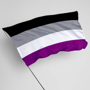 Può includere: Una bandiera arcobaleno dell'orgoglio asessuale, con strisce nere, grigie, bianche e viola, che sventola al vento.
