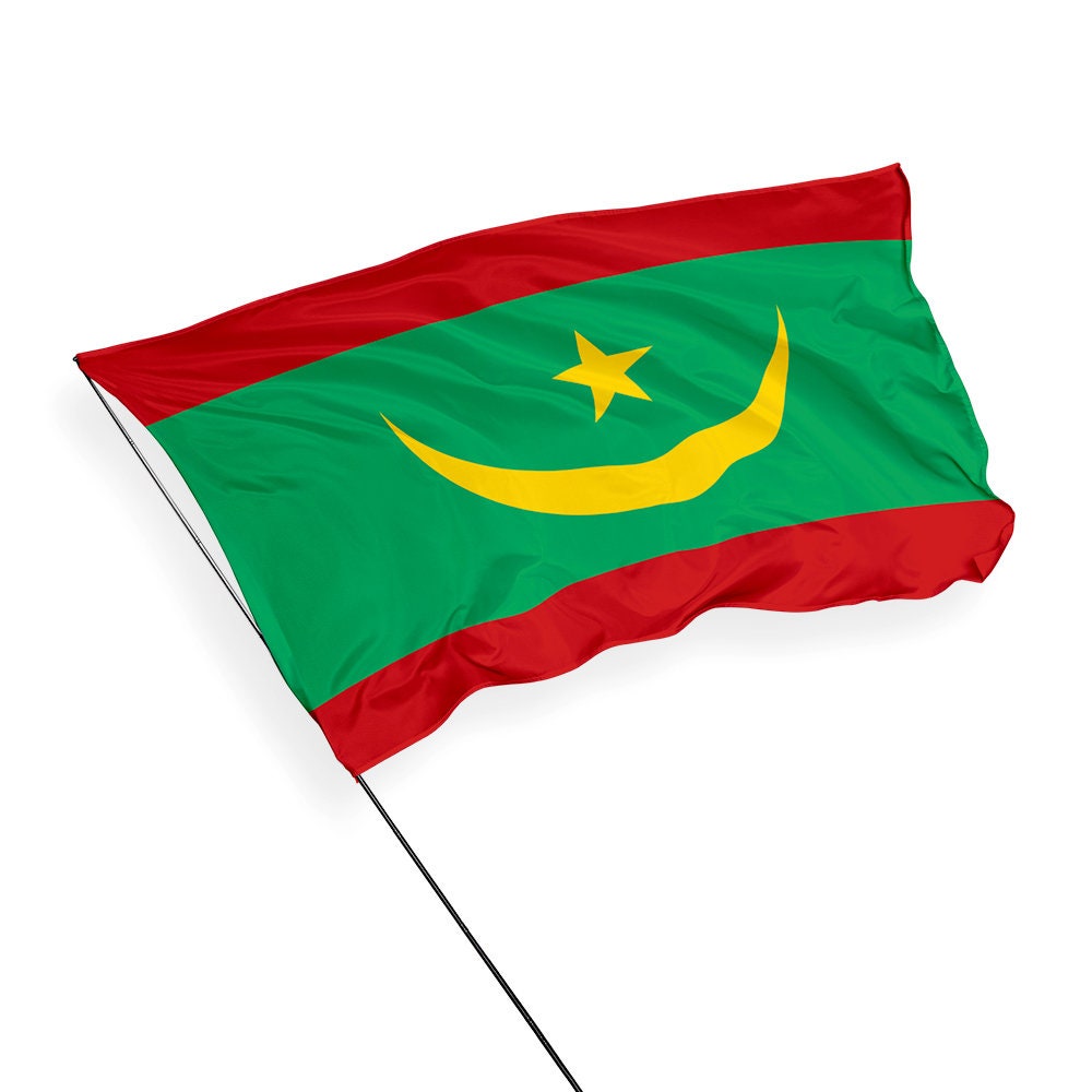 Drapeau Cap-Vert Signification PTEROSAUR Lot 50 Drapeaux Cap-Vert 14x21cm -  Drapeaux Main Pays Africain Drapeaux Pays