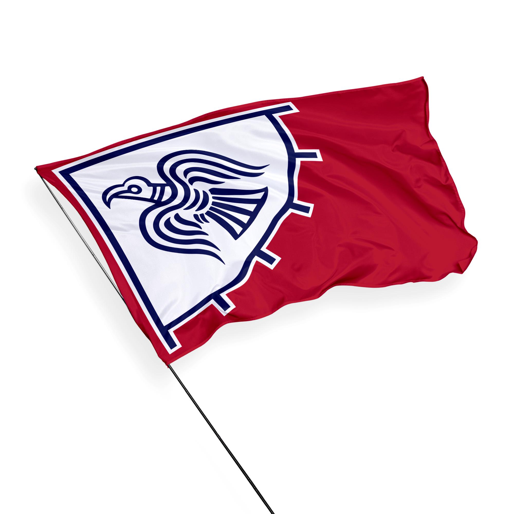 Nordic Raven Banner, Scandinavian Odin Viking Flag, Norse Raven Flag, Unique Design, premium textile quality, various sizes and colors
