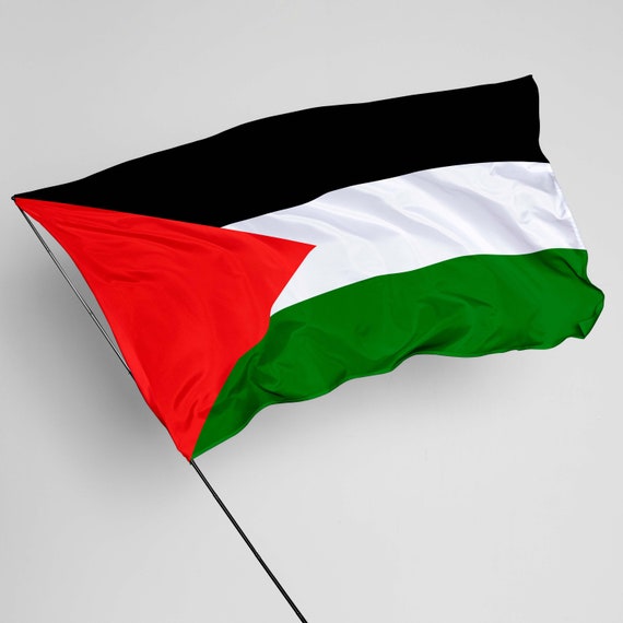 American & Palestine Flags Pin 1