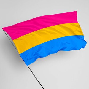 Peut inclure: Un drapeau de fierté pansexuelle flottant au vent. Le drapeau est composé de trois bandes horizontales : rose, jaune et bleue.