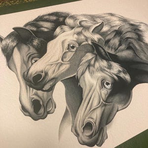 Cavalli del Faraone - Stampa Fine Art A4 su carta di cotone premium