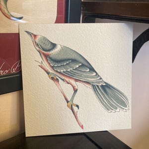 Canada Jay - Impressão artística 12 cm x 12 cm em papel de algodão premium