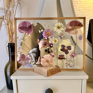 Herbarium of dried flowers, a plant decoration, Herbarium.