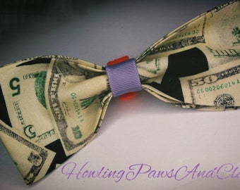 100 dollar dog accessory