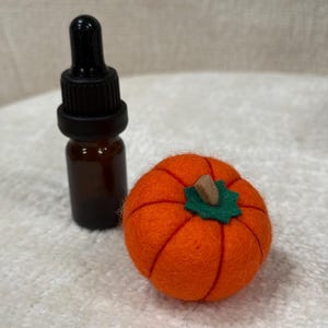 K&ouml;nnte beinhalten: Ein kleiner, runder, orangefarbener, nadelgefilzter K&uuml;rbis mit einem gr&uuml;nen Filzblatt und einem braunen Stiel, neben einer kleinen braunen Glastropfflasche mit schwarzem Verschluss. Der K&uuml;rbis hat sichtbare Segmente und eine weiche Textur.