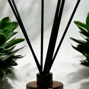 Peut inclure: Un diffuseur en verre brun avec des bâtonnets noirs. La bouteille est cylindrique et repose sur une surface blanche. Des plantes vertes sont de chaque côté du diffuseur. Les bâtonnets sont disposés en éventail.
