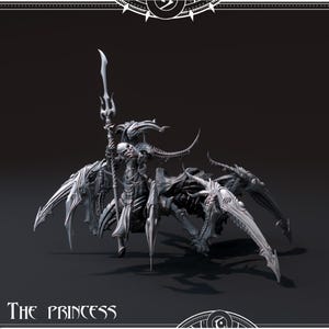 May include: A detailed, grey, 3D printed model of a female figure with horns and wings riding a spider-like creature. The figure is holding a spear in her right hand. The text "THE PRINCESS" is at the bottom of the image.
