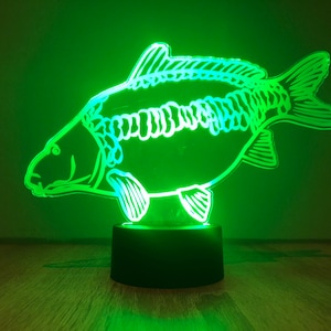 Op de afbeelding: Een groen LED-nachtlampje in de vorm van een karper. Het licht is aan en verlicht de omtrek van de vis.