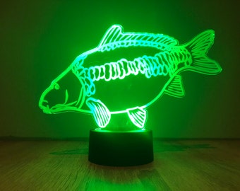 Karper LED lamp met afstandsbediening. RGB, Batterijen, karpervissen, vissen, cadeau.