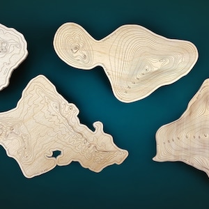 Ensemble de sous-verres en bois topographiques des îles Hawaï