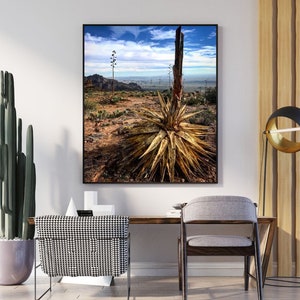 Siphon Draw Trail Superstition Mountains Arizona Landscape Print