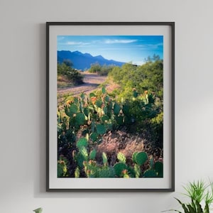 Tonto National Forest Prickly Pear Cactus Nature Landscape Photography Print