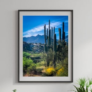 Tonto National Forest Saguaro Cactus and Mountains Landscape Print