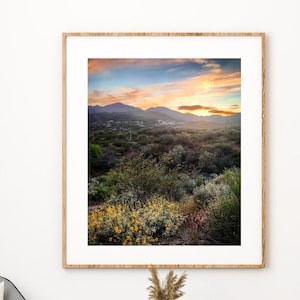 Tonto National Forest Sunset Landscape Print