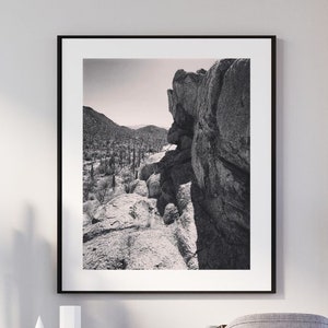 Saguaro National Park Tucson Arizona Black and White Landscape Photography Print