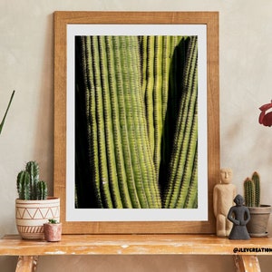 Saguaro Cactus Up Close and Personal Photography Print