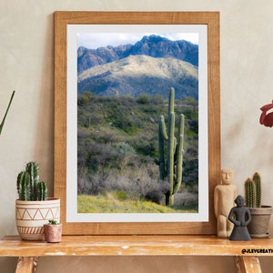 The Great Saguaro Cactus Tucson Arizona Photography Print