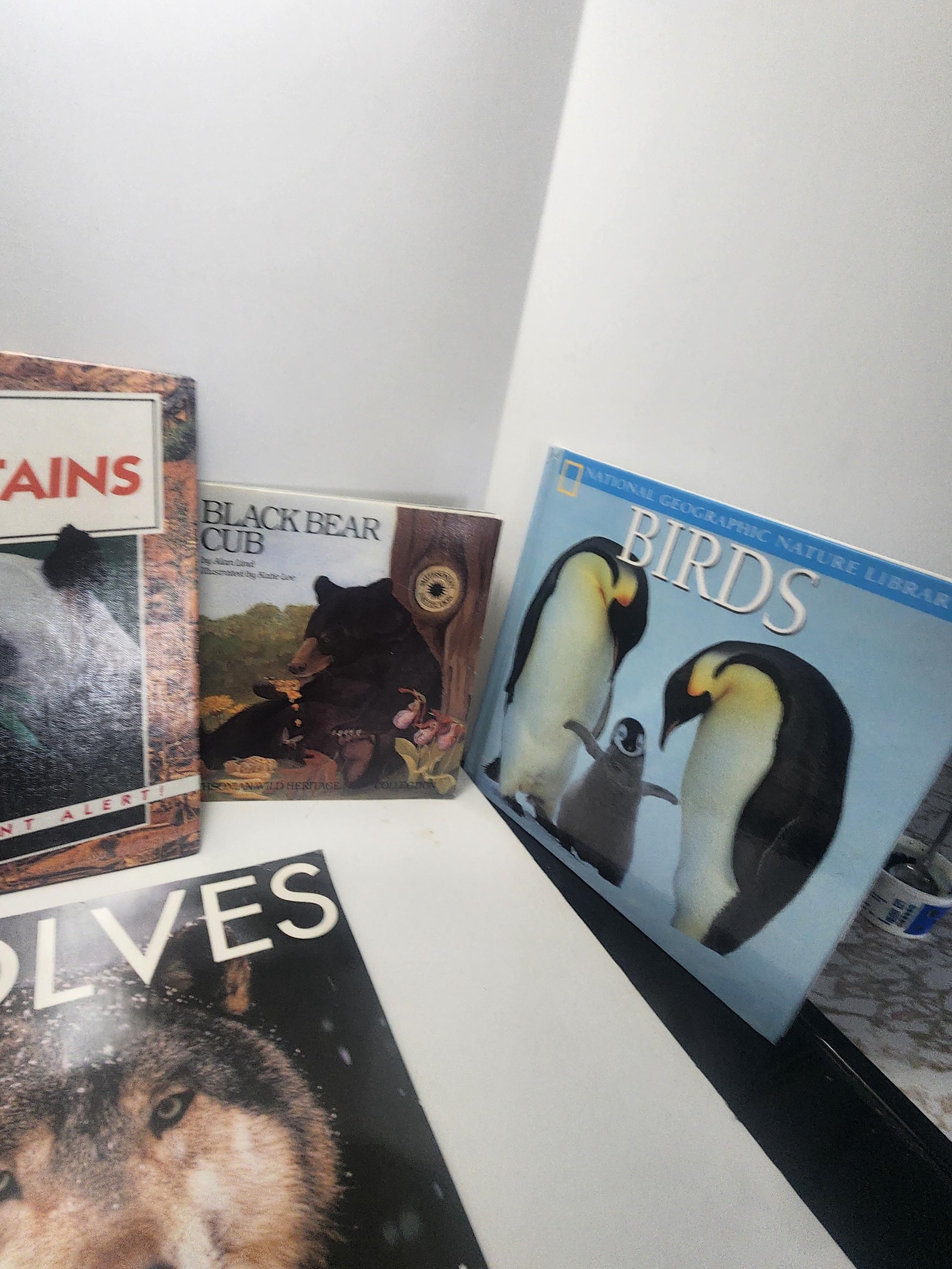 Childrens Animal Books LOT - Zoo - Animals - Animal Books - Kids Books ...
