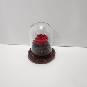 Forever Rose In A Glass - Flowers - Rose - Roses - Gift - Forever Ross - Decor