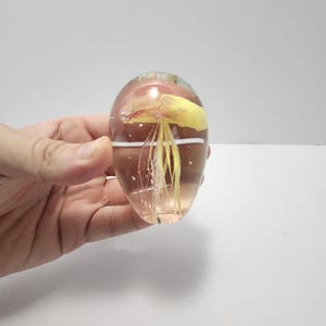 Jellyfish 1990s Blown Glass Paperweight - Paperweight - Paper Weights - Glass - Glass Figures - Jellyfish - Jellyfish Decor - Ocean - Life