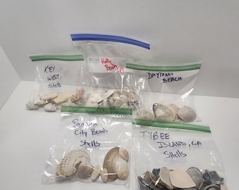 May include: Five clear plastic bags filled with seashells from different locations. The bags are labelled with the location names: Key West Shells, Holly Beach LA, Daytona Beach, Panama City Beach Shells, and Tybee Island, GA Shells.