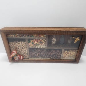 Puede incluir: Una caja de madera con frente de vidrio, dividida en compartimentos llenos de varios frijoles y elementos decorativos. Una mariposa y un pequeño pájaro están adheridos al marco. La caja tiene una estética rústica y natural.