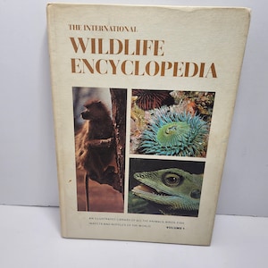 以下が含まれることがあります： 「THE INTERNATIONAL WILDLIFE ENCYCLOPEDIA」と題されたヴィンテージ本。表紙にはヒヒ、イソギンチャク、トカゲの画像が掲載されています。下のテキストには「AN ILLUSTRATED LIBRARY OF ALL THE ANIMALS, BIRDS, FISH, INSECTS AND REPTILES OF THE WORLD. VOLUME 1.」と書かれています。