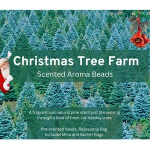 Christmas Tree Farm Scented Aroma Beads for making freshies or use in car, home, gym bag, Includes Sachets and Mica, Custom Molds