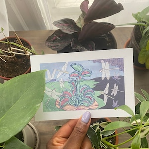 May include: A colorful illustration of a Venus flytrap with multiple dragonflies flying around it. The flytrap is green with red accents and the dragonflies are blue, white, and purple.