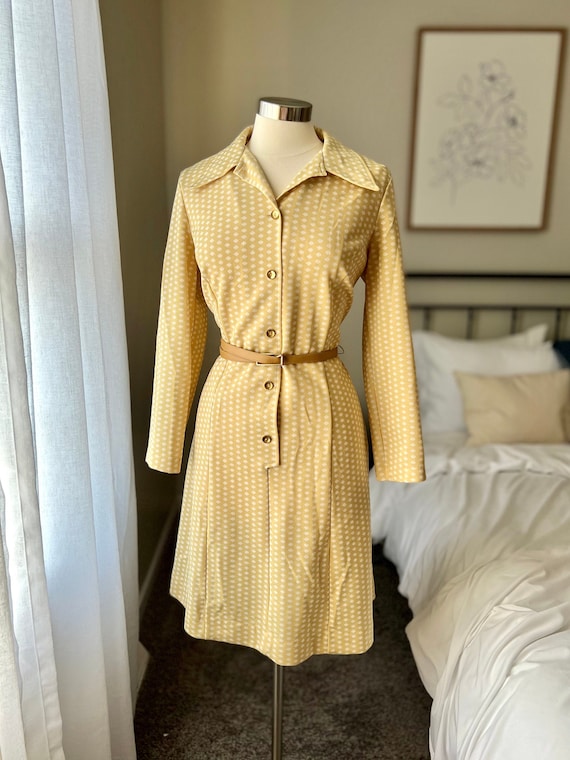 Vintage 1960s Button Down Collar Dress - image 1