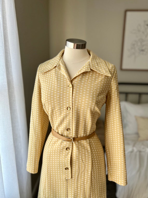 Vintage 1960s Button Down Collar Dress - image 2