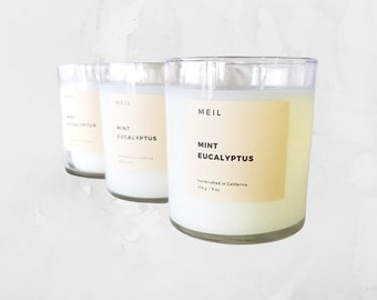 Mint Eucalyptus | Relaxing Candle | Stress Relief | Calming Candle | Gift Candle | Spring Candle | Handmade Candle | Self Care | Toxin Free