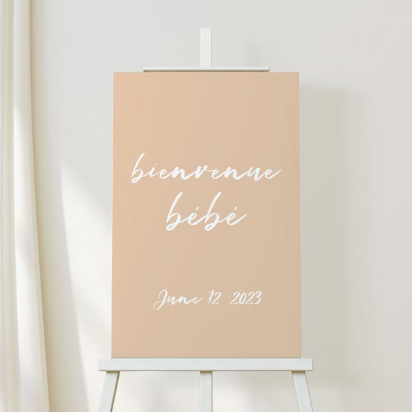 French Parisian Bonjour Bebe Baby Shower Welcome Sign Poster