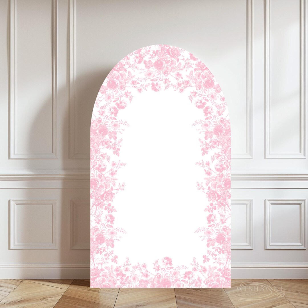 Toile Photo Backdrop Pink Floral Toile Space Backdrop Digital Artwork 54