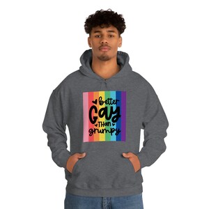 Pride Rainbow Better to be Gay Unisex Heavy Blend Hooded Sweatshirt