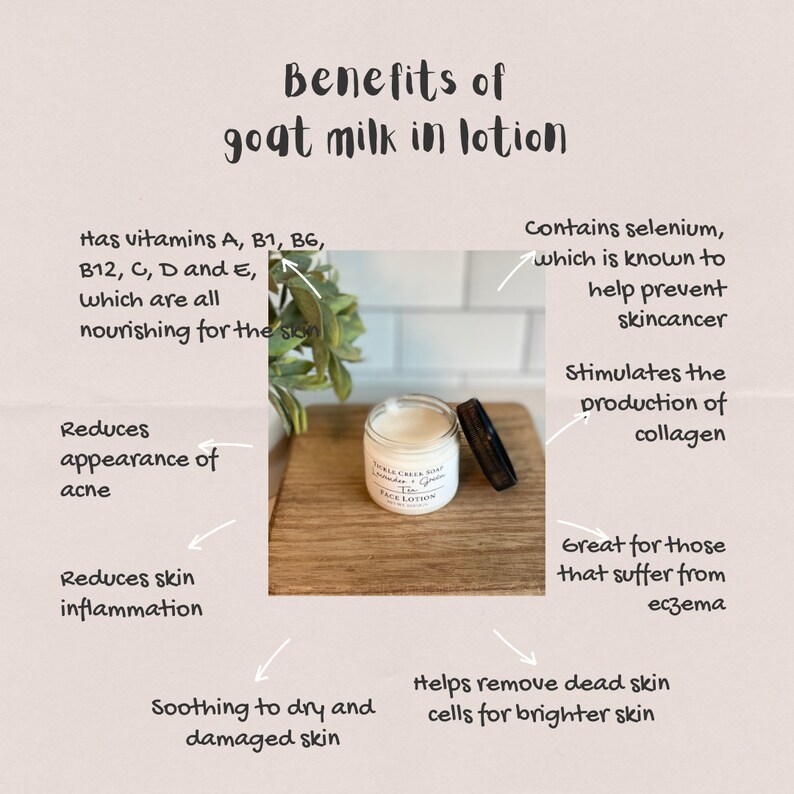 May include: A white jar of goat milk face lotion with a brown lid. The jar is labelled "Buckle Creek Soap Lavender + Green Tea Face Lotion". The image also includes text describing the benefits of goat milk in lotion, such as reducing the appearance of acne, soothing dry and damaged skin, and helping to remove dead skin cells for brighter skin.