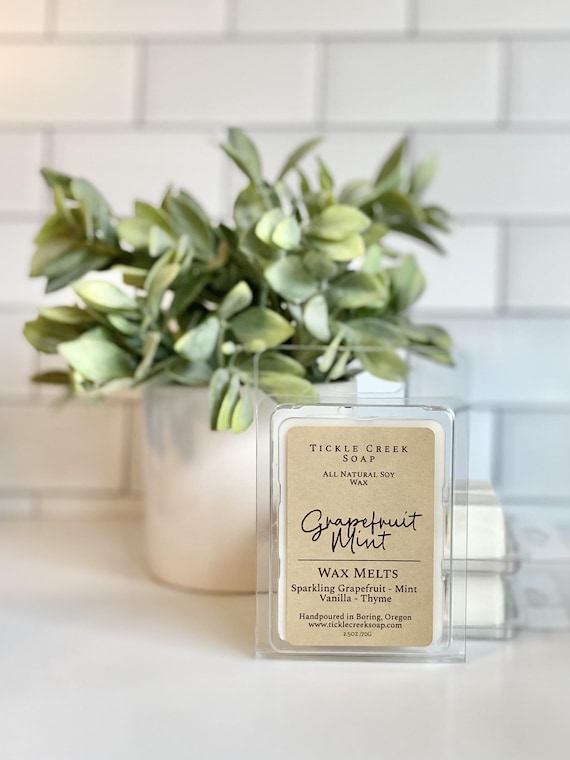 Soy Wax Melts Natural Scent Home Bundle Small Batch Handmade Gift for Bathroom Air Freshener Wax Warmer Wooden Holder Scent Pack Present Set