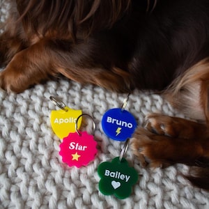 Custom Pet ID Tag for Collar, Personalized Dog ID Tag, Cat Name Tag, Unique Pet Tag, Engraved Pet Charm