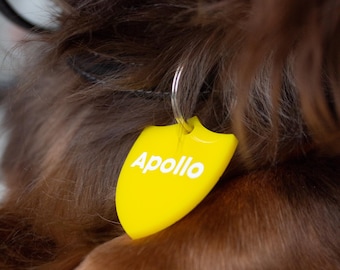 Custom Acrylic Pet ID Tag, Personalized Dog Cat Collar Charm