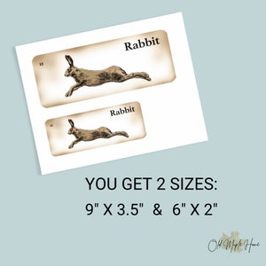 May include: Two printable digital downloads of a vintage illustration of a rabbit running. The images are available in two sizes: 9 inches by 3.5 inches and 6 inches by 2 inches.