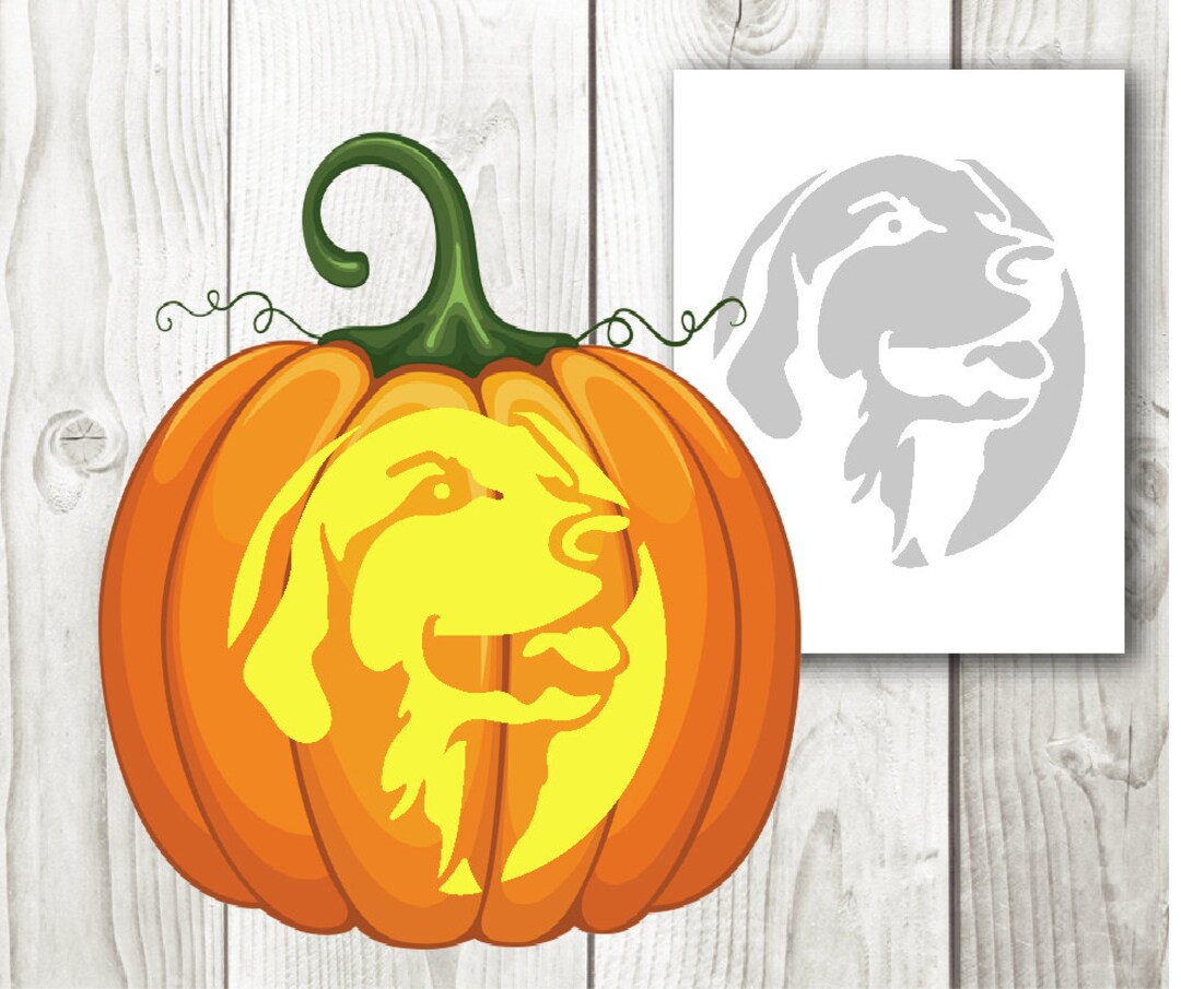 Labrador Retriever, Halloween Dogs, Pumpkin Carving, Stencil, Templates ...