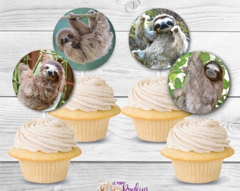 Pode incluir: Quatro cupcakes com cobertura branca cobertos com toppers redondos para cupcakes que mostram imagens de preguiças em várias poses. Os toppers para cupcakes são impressos em um fundo branco com folhagem verde.