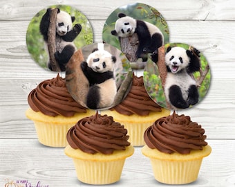 Panda Cupcake Topper, Bamboo, Instant Download, Digital PDF File