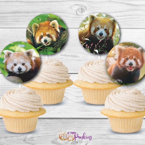 Roter Panda Cupcake Toppers, Sofort Download, Digitale PDF Datei