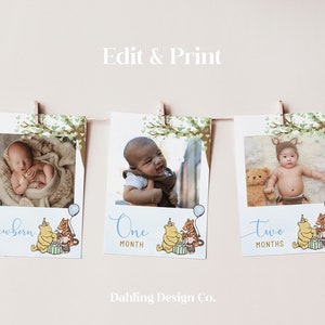 Winnie The Pooh First Birthday Photo Banner Template (Digital Download)