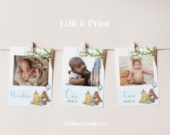 Winnie The Pooh Monthly Photo Banner for First Birthday Party, First Year Photo Banner Template, Classic Winnie the Pooh Birthday, TIGGER