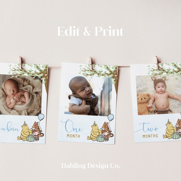 Winnie The Pooh Monthly Photo Banner for First Birthday Party, First Year Photo Banner Template, Classic Winnie the Pooh Birthday, TIGGER