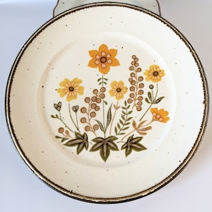 Vintage 70s Johnson Brothers Ironstone À La Carte Straw Hat Speckled Dinner Plates Wildflower Floral Brown Rimmed