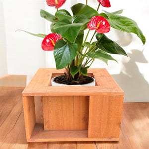 cedar planter